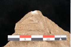 Foto (Detailansicht) von Trigonocarpus sp.  (NHMW-GEO-2024-0188-11148)